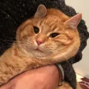 ωሉю☆น ӈε җนϐყτ ∂٥ሉɾ٥