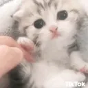 Mlem's World <3