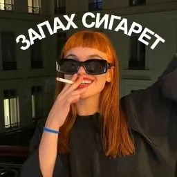 запах сигарет — мониторинг Discord сервера, статистика и рейтинг