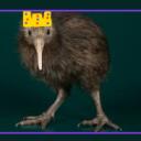 Kiwi Bird King's domain Discord Server Icon