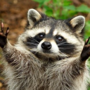 Similar Servers