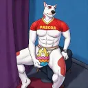 Bara, Yaoi, Furry e Diversão
