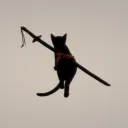 𝓢𝓾𝓼𝓼𝔂 𝓚𝓲𝓽𝓽𝓮𝓷𝔃 Discord Server Icon