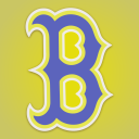 Discovery icon for Boston Red Sox Nation Discord server