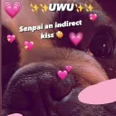ohno_pleasedont subs