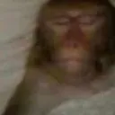 Servidor de Kayck Oliveira Discord server icon