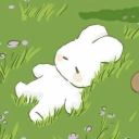 Bunnies