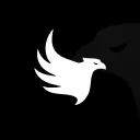 FLCN — FALCON AGENCY