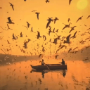 Tʜᴇ Bɪʀᴅʟᴀɴᴅ's Lᴏᴜɴɢᴇ