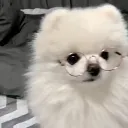 :Dツ