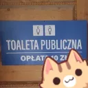 turystyczne świry panakotty