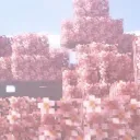 Minecraft 🌸