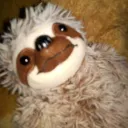 Isaac dasloth's like minded sloths