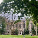 Brownstone University Server Icon