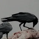 “𝑤𝑒𝑙𝑐𝑜𝑚𝑒 𝑡𝑜 𝑚𝑦 𝑤𝑜... Discord Server Icon