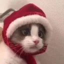 The Secret Garden Discord Server Icon