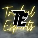 TRISHUL ESPORTS