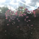 TD childhood Discord Server Icon