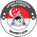 Singapore Special Operations Task Force
