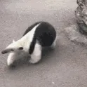 UCI 2027
