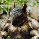 CAR4DEPEDRA 🗿🍷's icon