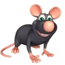rat lounge