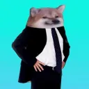 PATOCOLLEGE