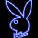 The Rabbits Den 🐰🏆