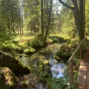 Camp Woodchip Discord Server Icon