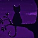 ✰Midnight~lounge✰