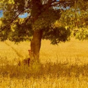 dating but gay Server Icon