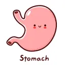r/gastritis 😎