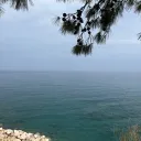 The Creek | Social + Games Discord Server Icon