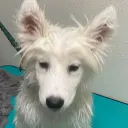 お前のこと誰が好きなん