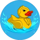 Duck Race Derby