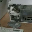 BLoC Party Discord Server Icon