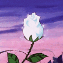 🌸 [18+] ☆°。⋆Blooming Obsess...