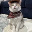 george washington