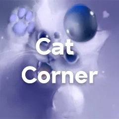 Cat Corner — мониторинг Discord сервера, статистика и рейтинг
