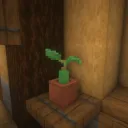 Casual_Lurker_20_05