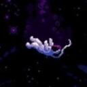 starry nights  ⟢ Discord Server Icon