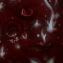 Dusk will fall