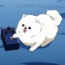 привет я софяком