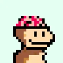BD Monkey