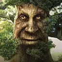 Open Grove Community