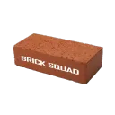 Brick Squad