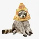 Raccoon City