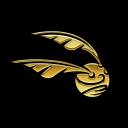 Harry Potter: Quidditch Champions icon
