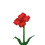 Anzac World IP: play.anzac.world