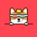 Doge Doginal's server